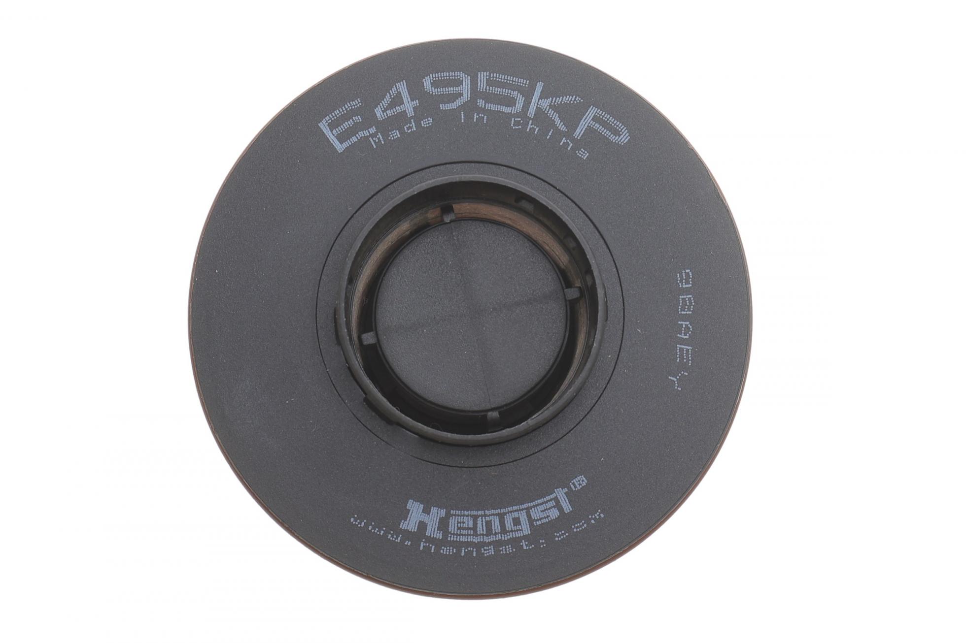 E495KPD534 HENGST FILTER